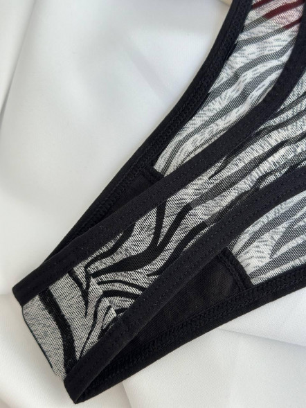 Set foarte frumos din 2 chiloți Trendy Mesh