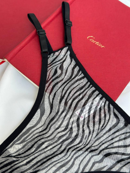 Set foarte frumos din 2 chiloți Trendy Mesh